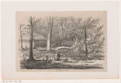 Fallen Tree by the Society, After the Storm of May 28, 1860 by Hendrik Wilhelmus Last