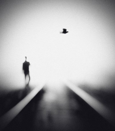 Solitary Man Flying Bird by Hengki Lee