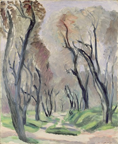 Avenue of Olive Trees by Henri Matisse