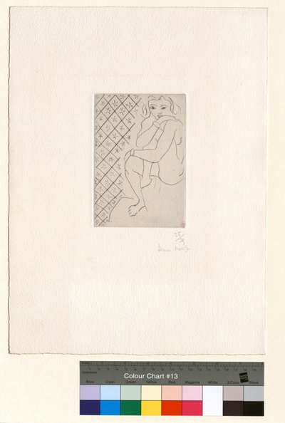 Seated Nude, Starry Checkered Background by Henri Matisse