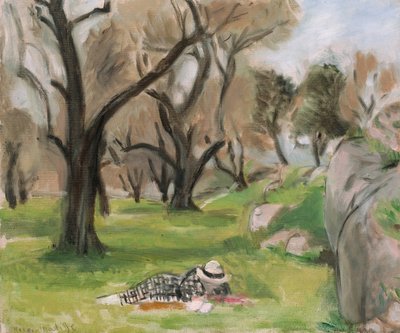 Landscape of the South by Henri Matisse