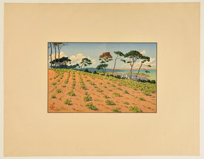 Douarnenez Seen from the Road of Ris by Henri Rivière