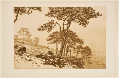 Misty Morning by Henri Rivière