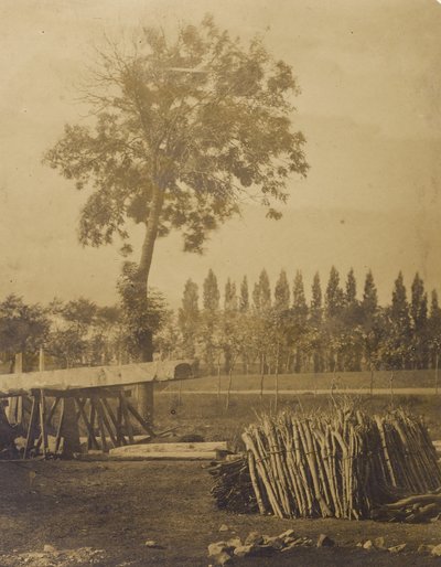 Landscape with Bales of Cut Tree Limbs by Henri Victor Regnault