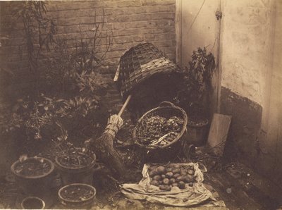 Still Life with Straw Baskets, Broom, Opened Sack of Potatoes and Potted Plants by Henri Victor Regnault