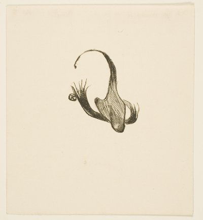 Tailpiece from Au Pied du Sinaï by Henri de Toulouse-Lautrec