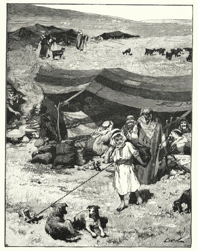 A Bedouin encampment by Henry Andrew Harper