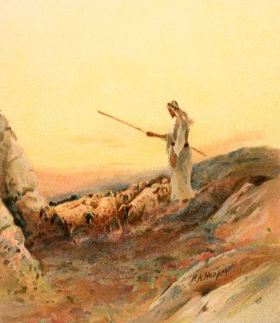 A shepherd counting his sheep by Henry Andrew Harper