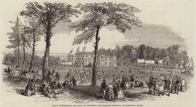 Peace, Temperance, and Bond of Universal Brotherhood Festival, at Hartwell, Bucks by Henry Anelay