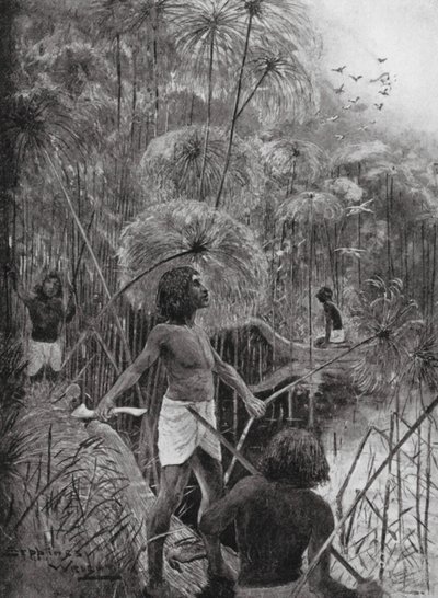 Killing Birds in the Marshes by Henry Charles Seppings Wright