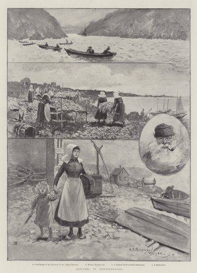 Sketches in Newfoundland by Henry Charles Seppings Wright