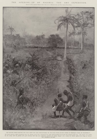 The Opening-up of Nigeria, the Aro Expedition by Henry Charles Seppings Wright