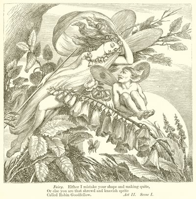 A Midsummer Night