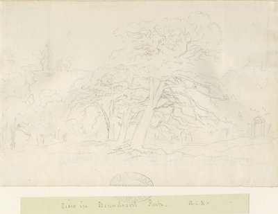 Beaudesert Park by Henry Curzon Allport