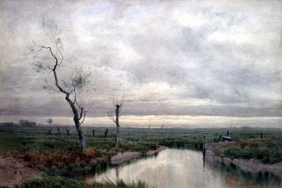 Coastal Marshlands by Henry Farrer