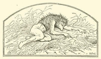 Jack My Hedgehog by Henry Justice Ford