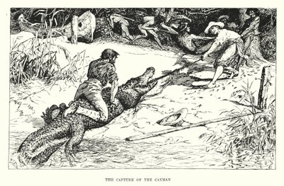 The Capture of the Cayman by Henry Justice Ford
