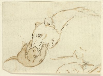 Five Sketches of Lions: Lioness with Cub by Henry Stacy Marks