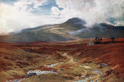 A Moor near Killin, Perthshire by Henry Sutton Palmer