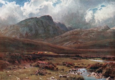 Crags near Poolewe, Ross-Shire by Henry Sutton Palmer