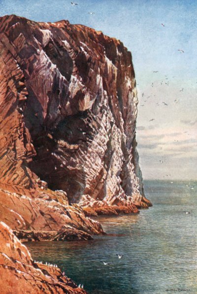The Bass Rock, Firth of Forth, off Coast of Haddingtonshire by Henry Sutton Palmer