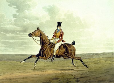 A Meltonian As He Is, from 