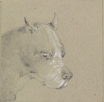 Head and Shoulders of a Boxer Dog by Henry Thomas Alken