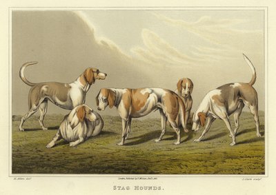 Stag Hounds by Henry Thomas Alken