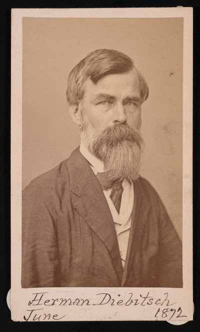 Portrait of Herman Henry Diebitsch by Henry Ulke