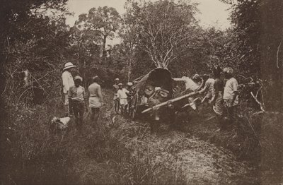 Ruined Cities of Ceylon: En Route for Polonnaruwa by Henry W. Cave