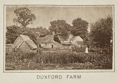 Duxford Farm by Henry W. Taunt