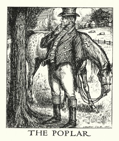 Ingoldsby Legends: The Poplar by Herbert Cole