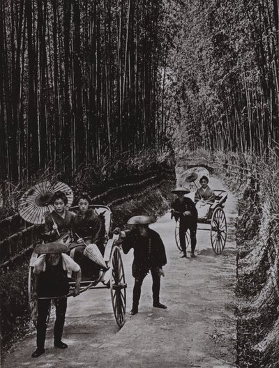 A Bamboo Avenue at Kyoto by Herbert Ponting