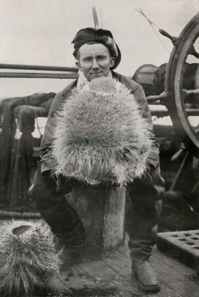 D. G. Lillie, with Some of the Siliceous Sponges by Herbert Ponting