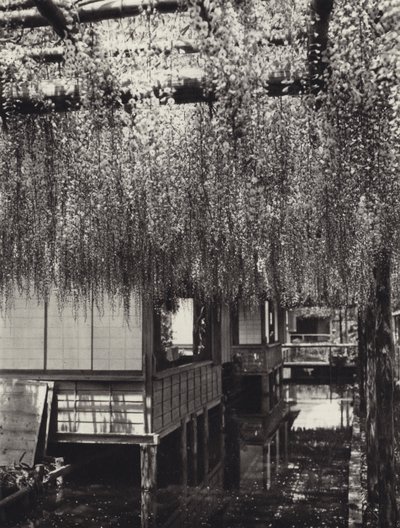 Japan in 1920s: Tokyo, Kameido by Herbert Ponting