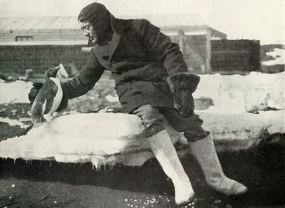 Lieut. Rennick and a Friendly Penguin, 1911, 1913 by Herbert Ponting
