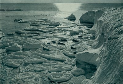Seals Basking on Newly Formed Pancake Ice Off Cape Evans by Herbert Ponting