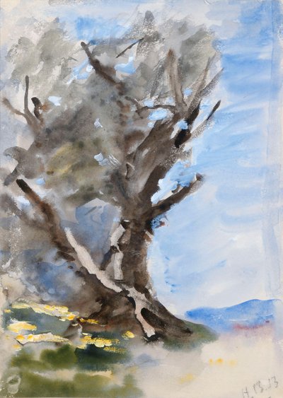 A Tree by Hercules Brabazon Brabazon