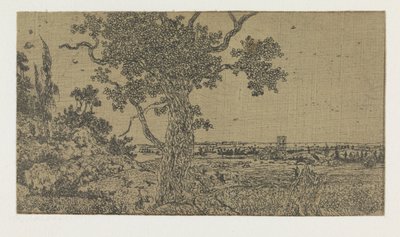 Landscape with an Oak Tree and a Distant View by Hercules Segers