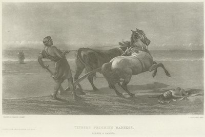 Ulysses feigning madness (engraving) by Heywood Hardy