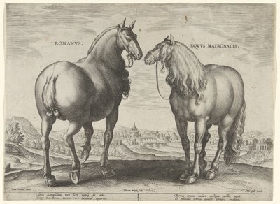 Horse from Rome and a Broodmare (series title: Horse Breeds from the Royal Stables of Don Juan of Austria) by Hieronymus Wierix
