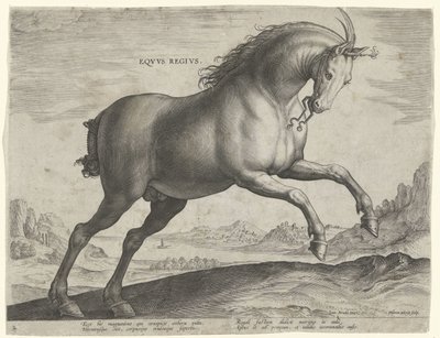 Horse of the Equus Regius Breed by Hieronymus Wierix