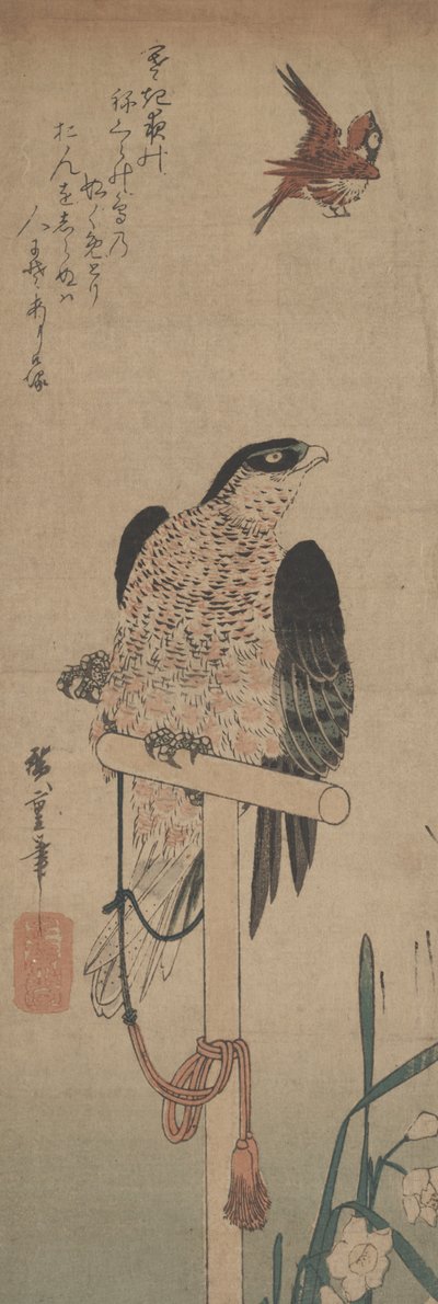 Falcon on Perch, Sparrow, and Narcissus by Hirokage Utagawa