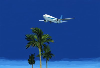 Airplane and Palm Tree by Hiroyuki Izutsu