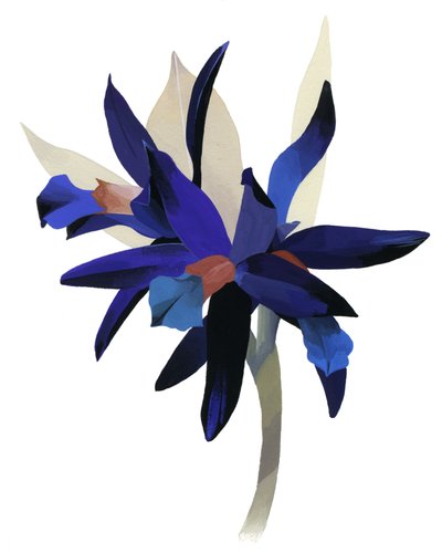 An Imaginary Flower with a Blue Base by Hiroyuki Izutsu