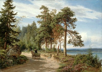 Road in Finland by Hjalmar Munsterhjelm