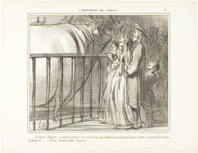 The Ox-Elephant, a new and very promising breed. Unfortunately still beyond the financial possibilities of the average citizen.... price: 30,000 francs, plate 5 from L