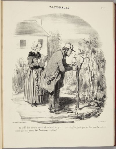 My Graft of a Cherry Tree on an Apricot Tree Did Not Take... by Honoré Daumier
