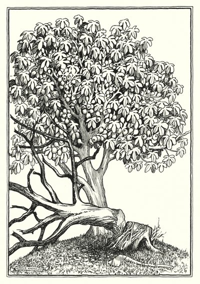 Illustration for The Sermon On The Mount by Horace J. Knowles