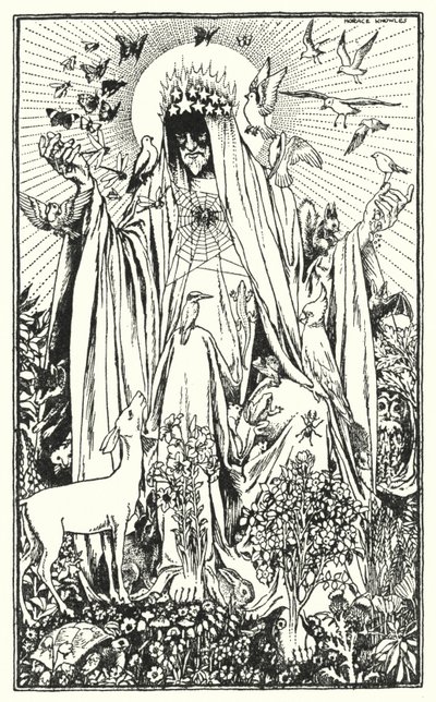Robin Redbreast by Horace J. Knowles